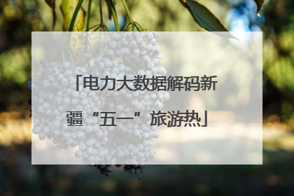 电力大数据解码新疆“五一”旅游热